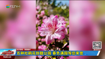 百种杜鹃花扮靓公园 春色满园等您来赏