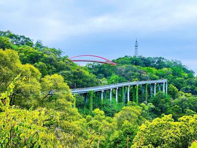 全国第二！福州跻身同程旅行2026春游胜地甄选榜单