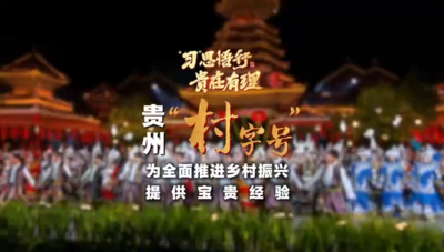 “习”思悟行·贵在有理丨贵州“村字号”为全面推进乡村振兴提供宝贵经验