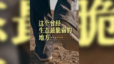 这个曾经生态最脆弱的地方……