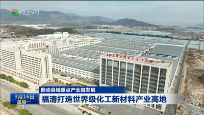 推动县域重点产业链发展  福清打造世界级化工新材料产业高地