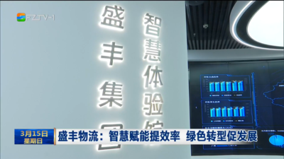 盛丰物流：智慧赋能提效率 绿色转型促发展