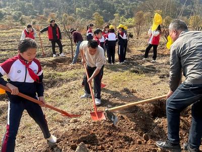 连江官坂：植树寄哀思