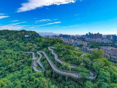 中新网关注福州福道：串山水绿廊 惠万家民生