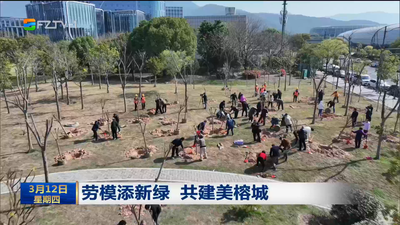 我市各地开展义务植树活动 春满榕城植新绿 共筑生态幸福城