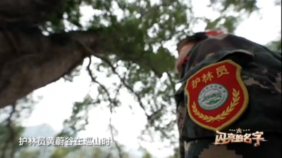 “最美自然守护者”黄蔚谷：古树名木的“守卫者”