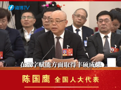 全国人大代表陈国鹰：重点加强企业内部数据治理 为加快推进数字赋能奠定基础