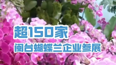 蝴蝶兰成为花王需要闯过七道关口