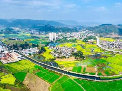 打卡去！这些地方油菜花开春色美！