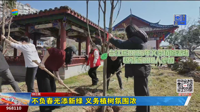 不负春光添新绿 义务植树氛围浓