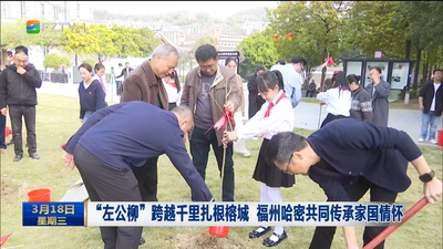 “左公柳”跨越千里扎根榕城 福州哈密共同传承家国情怀