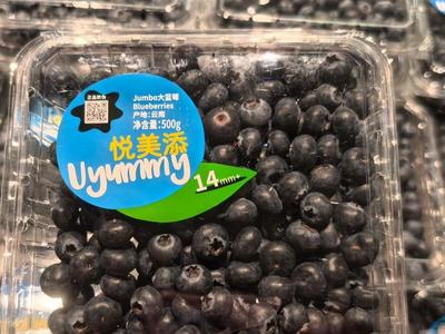 降价两三成！蓝莓售价更亲民
