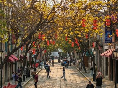 “春游福地”正当时 福州邀您共赴“最美人间四月天”