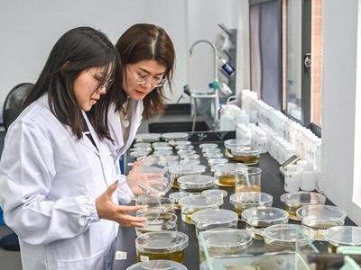 立德树人 融智笃行——从闽江大学看福州教育科技人才一体化发展成效