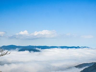 鼓岭再现绝美云海景观