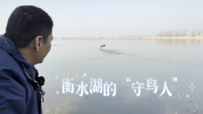 衡水湖的“守鸟人”