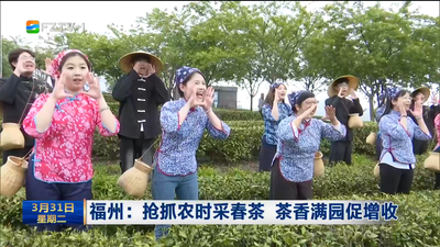 福州：抢抓农时采春茶 茶香满园促增收