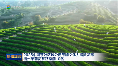 2025中国茶叶区域公用品牌文化力指数发布 福州茉莉花茶跻身前10名