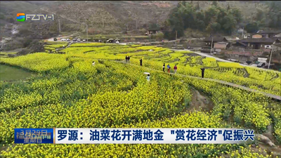 罗源：油菜花开满地金 “赏花经济”促振兴