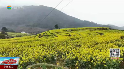 惊蛰至 春雷动 福州大地春忙正当时