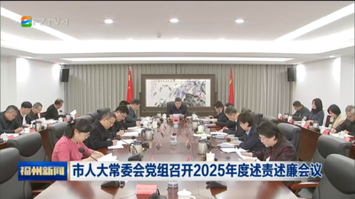 市人大常委会党组召开2025年度述责述廉会议