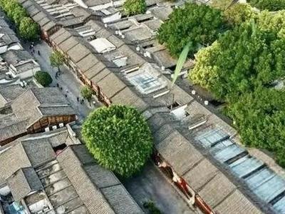 向总书记报告：八闽春天的回响