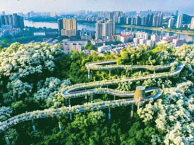 这个春天，福建有“花”说