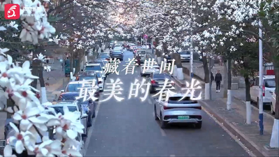 来贵州，赴一场100天的春日