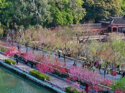 春日限定版！福州三月赏花地图来了