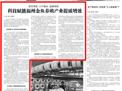 技艺革新、三产融合、品牌深耕 科技赋能福州金鱼养殖产业提质增效