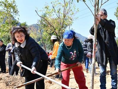 榕台同胞在罗源共植“海峡巾帼林”