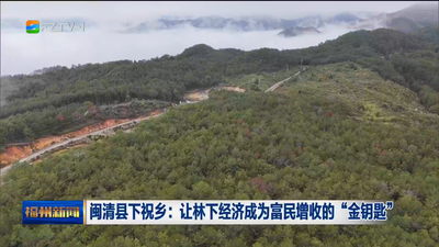 闽清县下祝乡：让林下经济成为富民增收的“金钥匙”