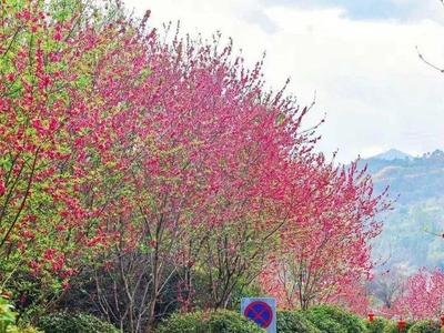 今天21点58分，惊蛰！福州转晴有消息了