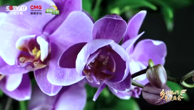 2026乡村振兴年度盛会盛大开启中