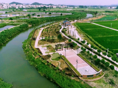 福清南湾村：小评议涵养大乡风 善治理扮靓新农村