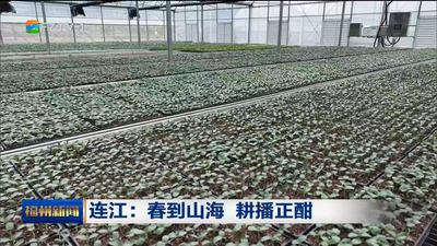 连江：春到山海 耕播正酣
