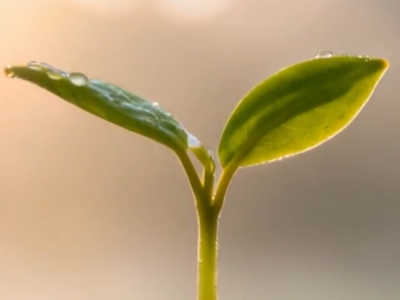 主播和你说新闻——春雷启万物 策马春风赴新程