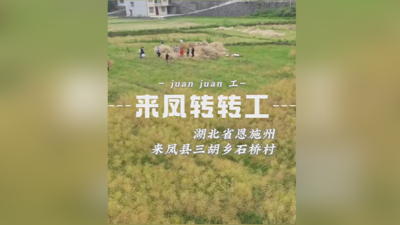 这里的村民为何争当“转转工”？