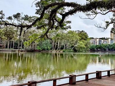 福州市启动城区内河罗非鱼生态专项捕捞常态化行动