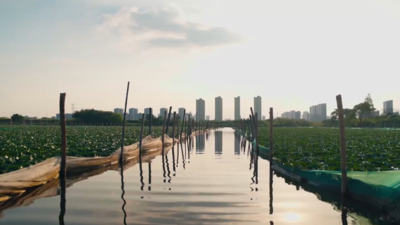 纪录片《大江南》预告