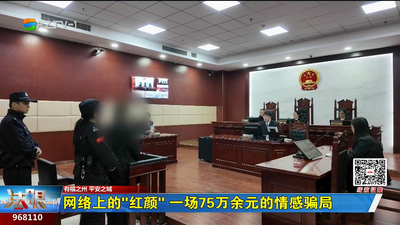 网络上的“红颜” 一场75万余元的情感骗局