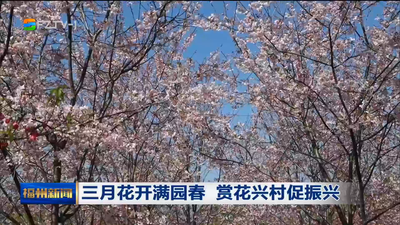 三月花开满园春 赏花兴村促振兴