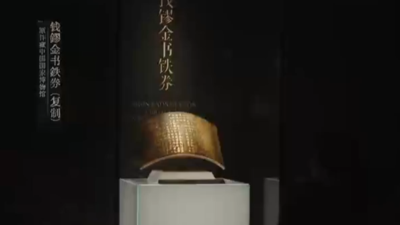 像猫一样有九条命是什么体验？