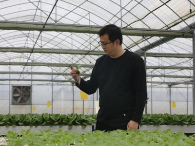 科技赋能春耕 水培蔬菜规模化上市