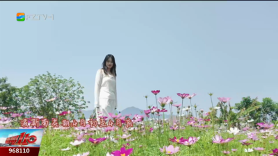 福州0元浪漫指南！邂逅春日治愈花海