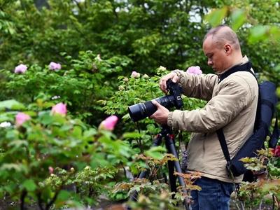 闽侯大湖乡古寺田园牡丹艳
