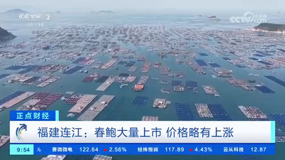 央视关注连江：春鲍大量上市 价格略有上涨