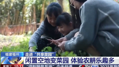 央视新闻关注福州：从种菜到研学 “共享菜园”里竟藏着这么多乐趣