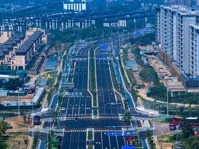 仓山义序新添“羊蹄甲大道” 螺福路道路工程建成通车