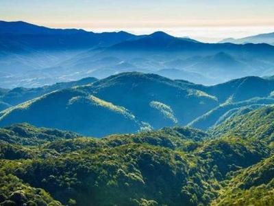 文明祭扫保平安 福州多举措筑牢森林防火线